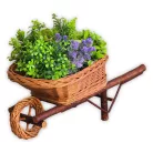 Schubkarre Garten-Blumentopf Dekoration
