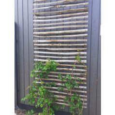   Haselnussholz Kleinzaun, Beeteinfassung 35x500cm (7-8cm Abstand)