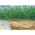 Dekor-Schilfplatten 50mm