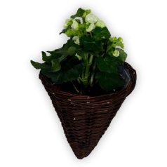 Wandblumenhalter (30/40)