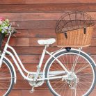 Kätzchen-Hund-Träger für Fahrrad