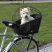 Kitty-dog carrier for bicycle with quick coupling