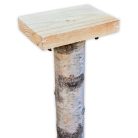 Bird feeder stand