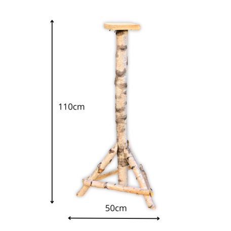 Bird feeder stand