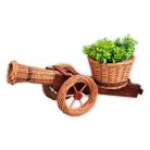 Natúr virágtartó ágyú 