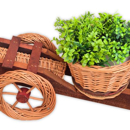 Natúr virágtartó ágyú 