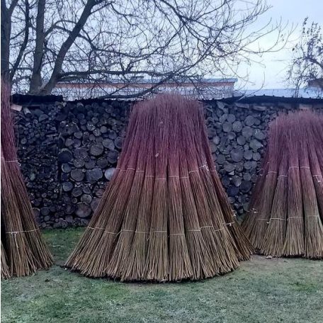 Ungeschält Weide (Salix americana)