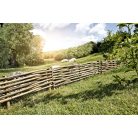 Ágyásszegély , Kerti szegély mogyorófa 20x100 cm