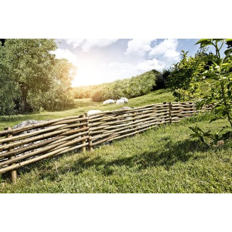 Ágyásszegély , Kerti szegély mogyorófa 20x100 cm