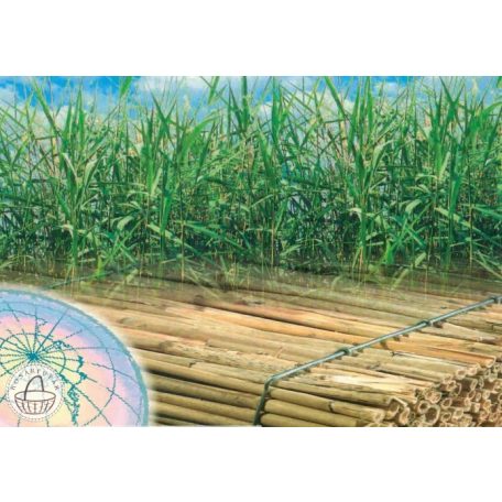 Nádszigetelés 50 mm