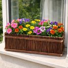 Wicker balcony chest 50x20x18cm